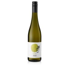 2021er Riesling, trocken, 12% vol., Hofmann, 750 ml