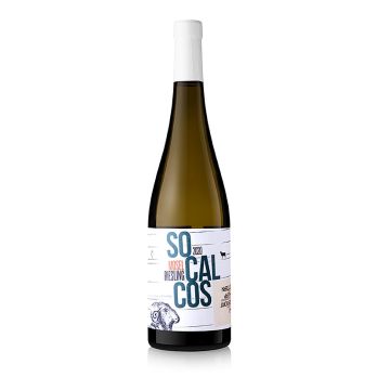 2020er Socalcos Riesling, trocken, 11 % vol., Fio Wein, 750 ml