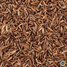 Roter Reis aus der Camargue g.g.A. (Frankreich), BIO, 1 kg