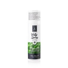 Kakaobutter Spray, Velvet/Samt Effekt, grün, Velly, 250 ml