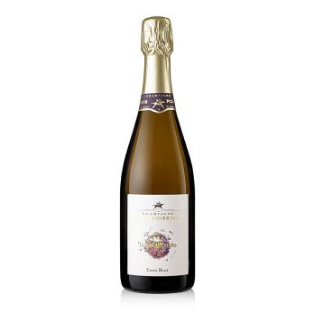 Champagner Regis Poissinet Terre d´Irizée, extra brut, 12 % vol., 750 ml