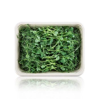 vollgepackt Microgreens Erbsen, ganz junge Blätter / Keimlinge, 100 g