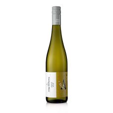 2021er Element Sauvignon Blanc, trocken, 12 % vol., Alois Kiefer, 750 ml