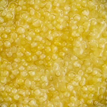 Desietra weißer Kaviar vom Albino-Stör (Sterlet), Aquakultur Deutschland, 50 g